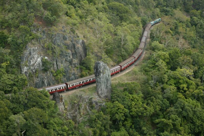 Port Douglas: World Heritage Forest by Skyrail & Scenic Rail - Key Points