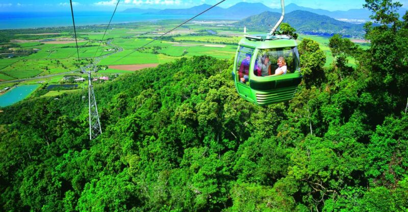 Port Douglas: World Heritage Forest by Skyrail & Scenic Rail - Highlights