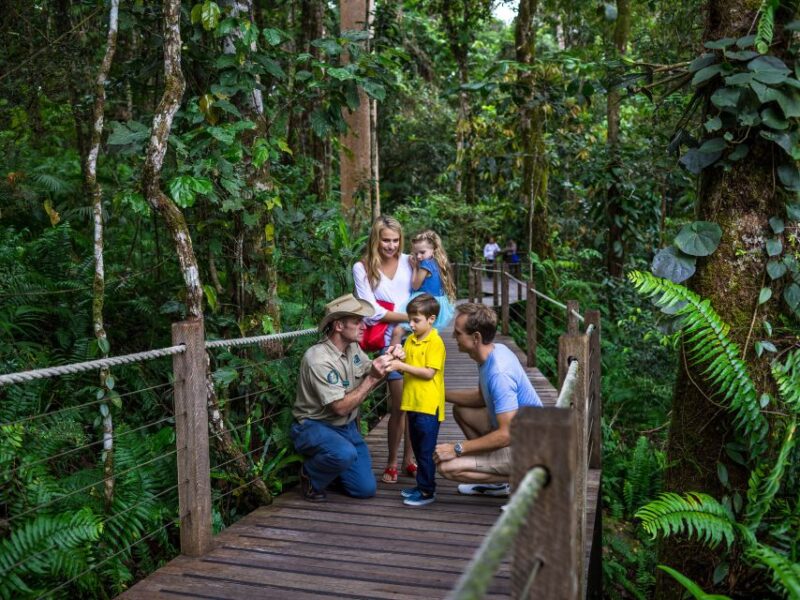 Port Douglas: World Heritage Forest by Skyrail & Scenic Rail - Frequently Asked Questions