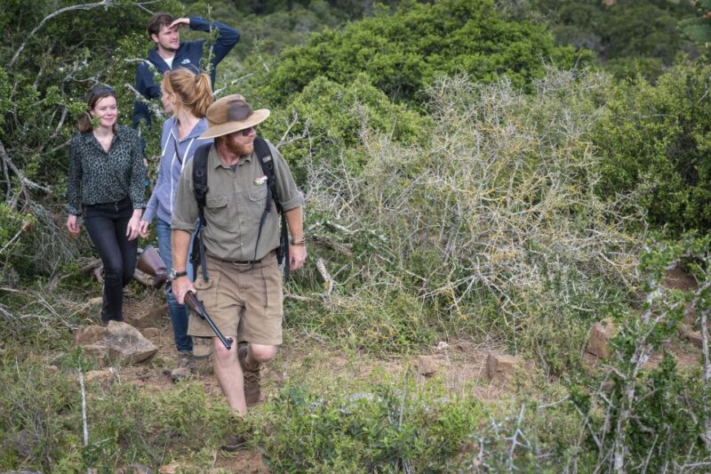 Port Elizabeth: 2-Day Addo Elephant Park Safari - Accommodation and Meals Overview