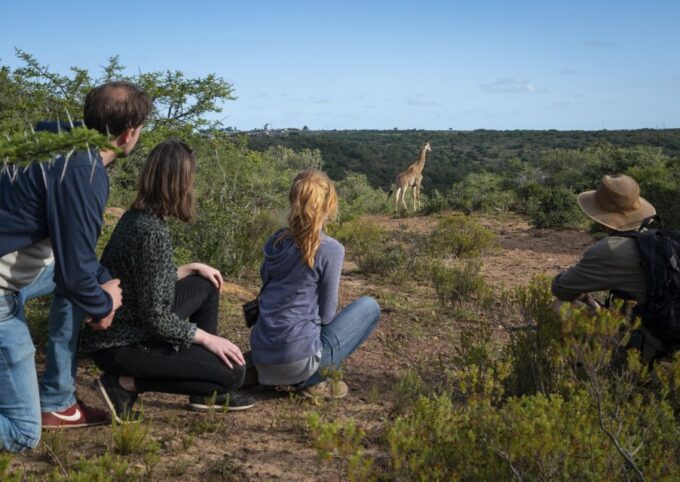 Port Elizabeth: 2-Day Addo Elephant Park Safari - Frequently Asked Questions