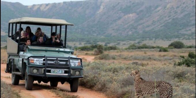 Port Elizabeth: 3-Day Addo Elephant National Park Safari - Preparing for the Safari