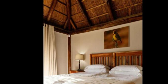 Port Elizabeth: 3-Day Addo Elephant National Park Safari - Booking and Cancellation Policy