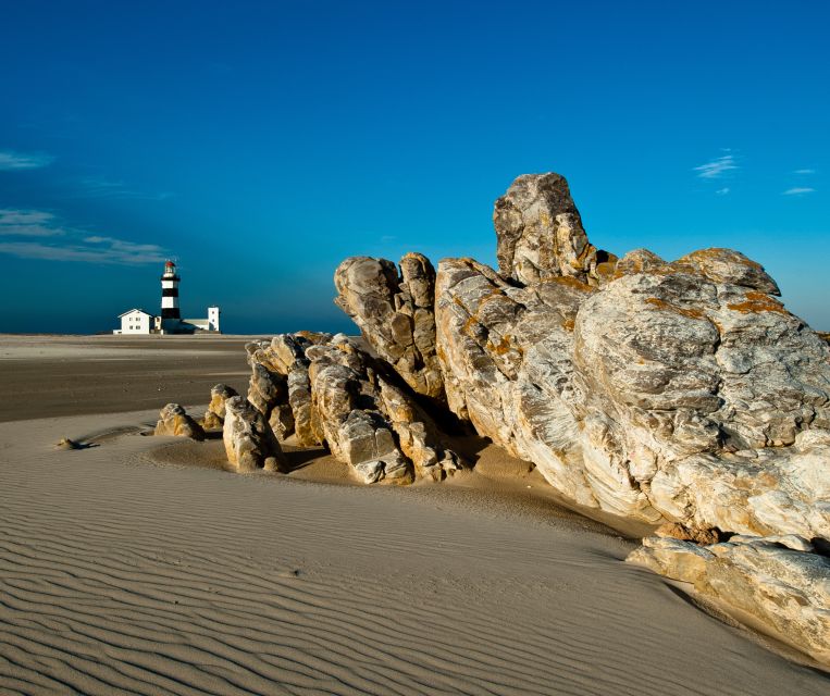Port Elizabeth: Cape Recife Safari and City Sightseeing Tour - Cape Recife Lighthouse