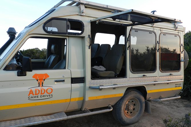 Port Elizabeth Shore Excursion: Addo Elephant Full Day Safari &BraaiLunch(BBQ) - Savoring the Braai Lunch