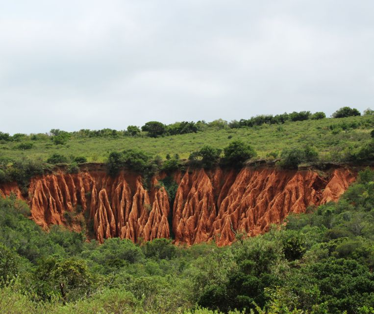 Port Elizabeth: Shore Excursion to Addo Elephant Park Safari - Lunch and Free Time