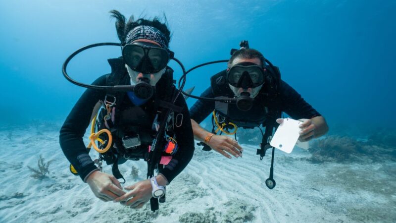 Port Ghalib: Scuba Diving for Beginners Day-Trip With Lunch - Key Points