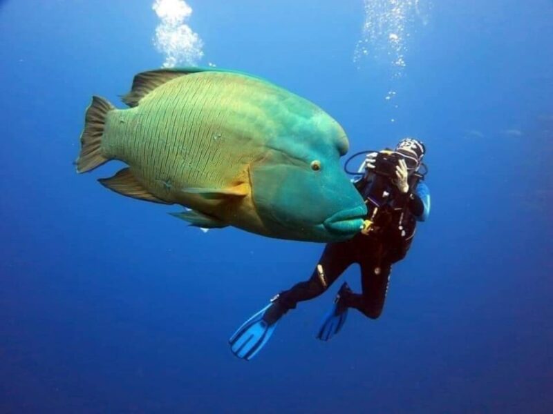 Port Ghalib: Scuba Diving for Beginners Day-Trip With Lunch - Inclusions