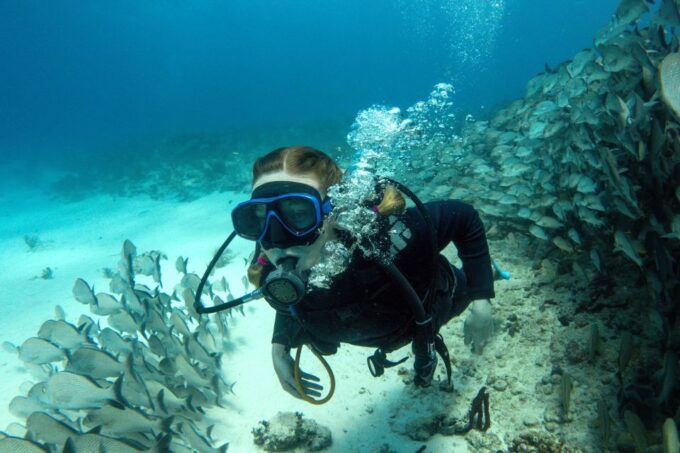 Port Ghalib: Scuba Diving for Beginners Day-Trip With Lunch - Review Summary
