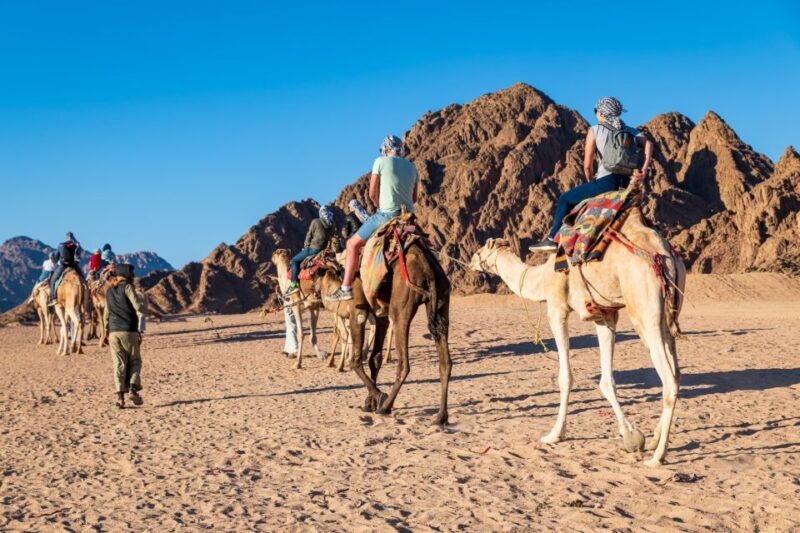 Port Ghalib: Sunset Safari ATV Quad W/ BBQ Dinner and Show - Key Points