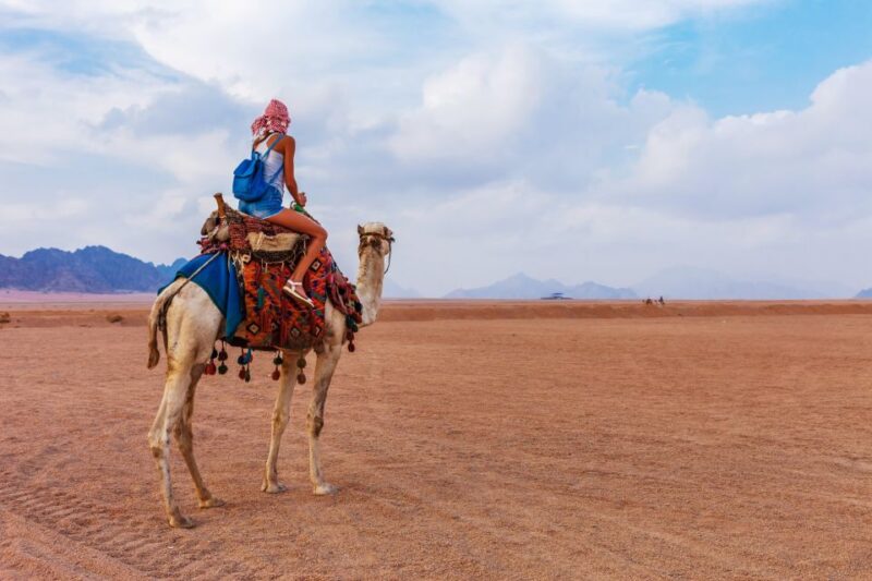 Port Ghalib: Sunset Safari ATV Quad W/ BBQ Dinner and Show - Cultural Highlights