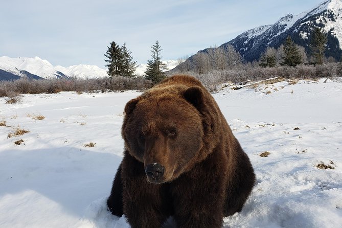 Port Homer Day Tour - Wilderness, Wildlife and Beach Experience - Booking and Cancellation Policy