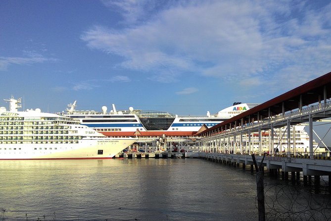 Port Klang Cruise - KL City Tour With KL Tower Ticket & Batu Cave - Key Points
