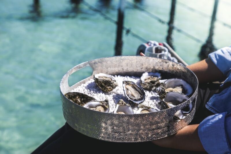 Port Lincoln: Coffin Bay Seafood, Wine, and Nature Day Trip - Key Points