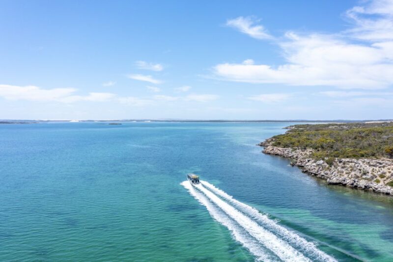 Port Lincoln: Coffin Bay Seafood, Wine, and Nature Day Trip - Oyster Lease Tour and Tastings
