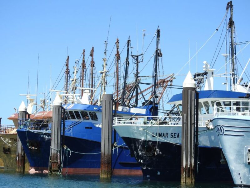 Port Lincoln Day Tour: Eyre Peninsula - Exploring Lincoln National Park