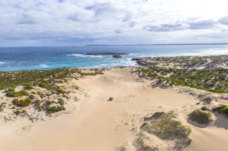 Port Lincoln: Wildlife and Sightseeing Full-Day 4WD Tour - Encounters With Local Wildlife