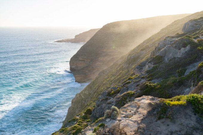 Port Lincoln: Wildlife and Sightseeing Full-Day 4WD Tour - Tour Logistics and Requirements