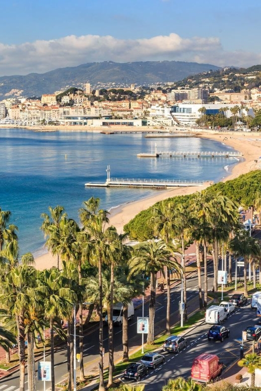 Port of Cannes : Personalized Private Tour - Medieval Village of Èze