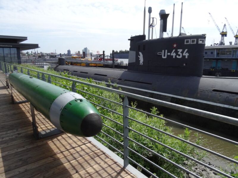 Port of Hamburg Private Tour & Tickets to Rickmer Rickmers - Guided Experience
