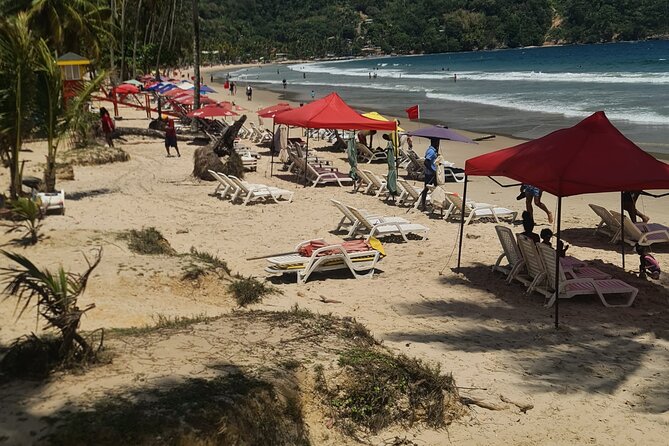Port of Spain City Highlights and Maracas Beach - Queens Savannah Park Experience