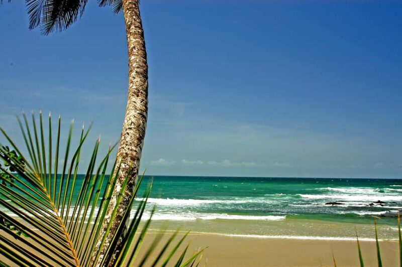 Port of Spain: Coastal Tour of Trinidad - Port of Spain: Coastal Tour of Trinidad — A Relaxed Day of Beaches and Scenic Views