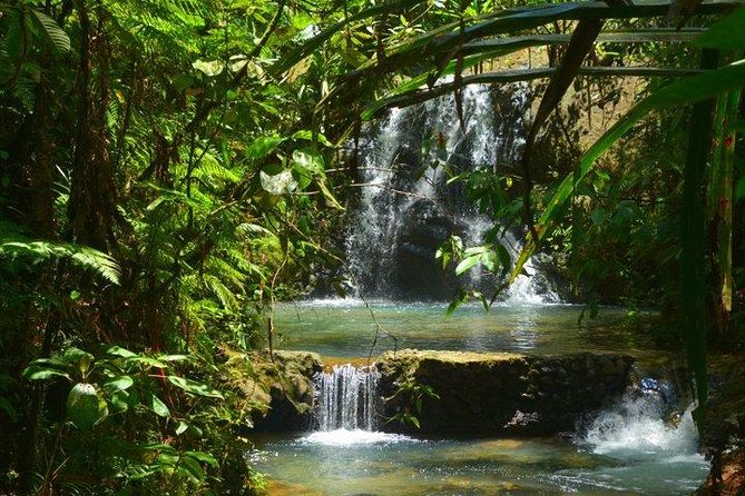 Port of Suva - Private Tour - Included Experiences