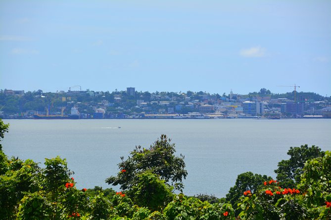 Port of Suva - Private Tour - Booking Information