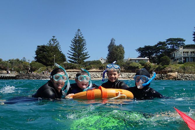 Port Phillip Bay Snorkeling with Sea Dragons - The Experience: What to Expect