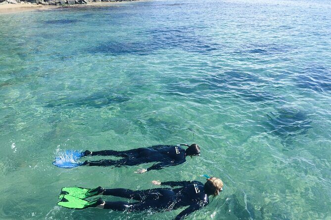 Port Phillip Bay Snorkeling with Sea Dragons - Why This Tour Offers Great Value
