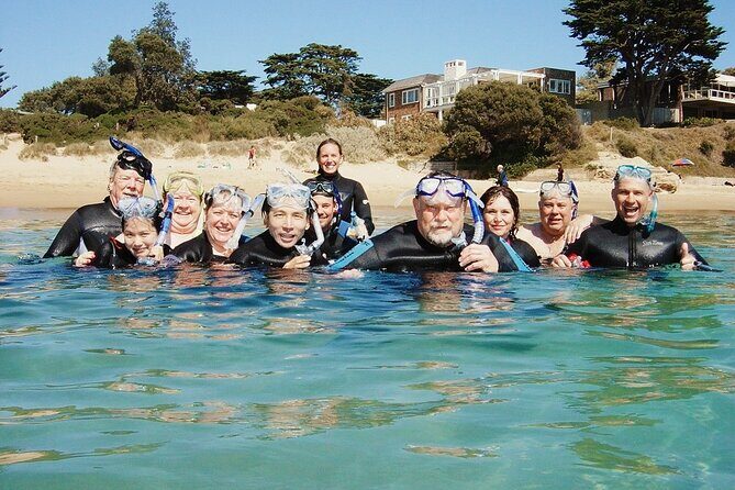 Port Phillip Bay Snorkeling with Sea Dragons - Who Will Love This Tour?