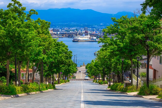 Port Pick-Up: Hakodate Tour With Licensed Guide and Vehicle - Why Choose This Hakodate Tour?