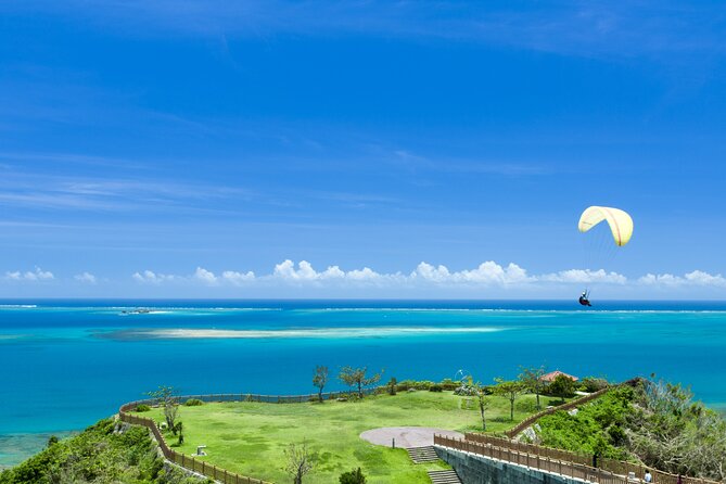 Port Pick-Up: Naha Private Tour Licensed Guide & Vehicle - Site Admission Fees