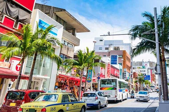 Port Pick-Up: Naha Private Tour Licensed Guide & Vehicle - Accessibility
