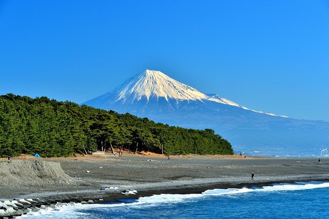 Port Pick-Up: Shizuoka Tour With Licensed Guide and Vehicle - Booking Information