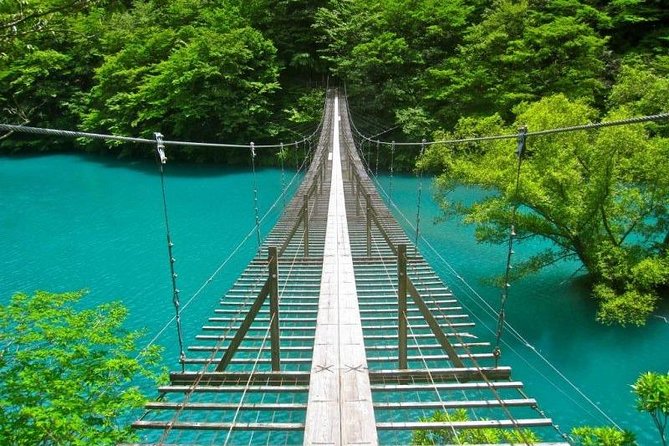 Port Pick-Up: Shizuoka Tour With Licensed Guide and Vehicle - Memorable Experiences