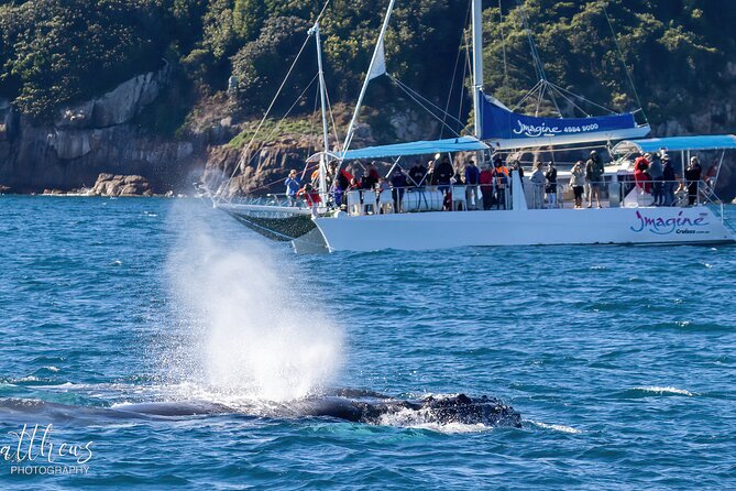 Port Stephens 3 Hour Whale and Dolphin Watch Cruise - Knowledgeable and Passionate Crew