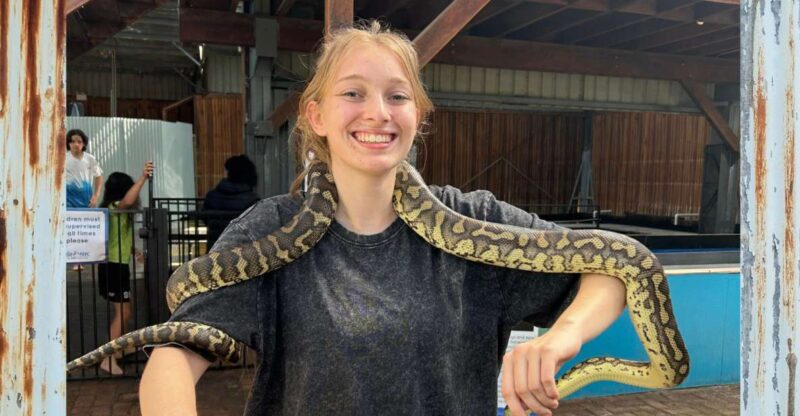 Port Stephens Animal Adventures: Mega Ticket - Experience Highlights