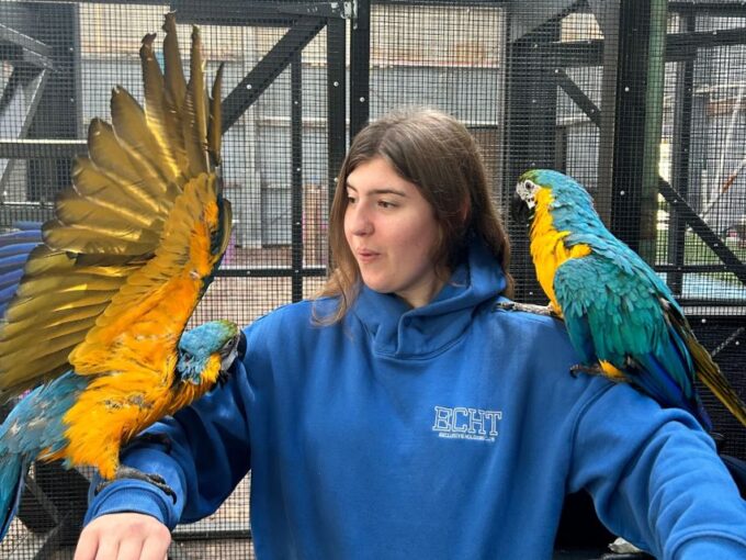 Port Stephens Animal Adventures: Mega Ticket - Customer Reviews