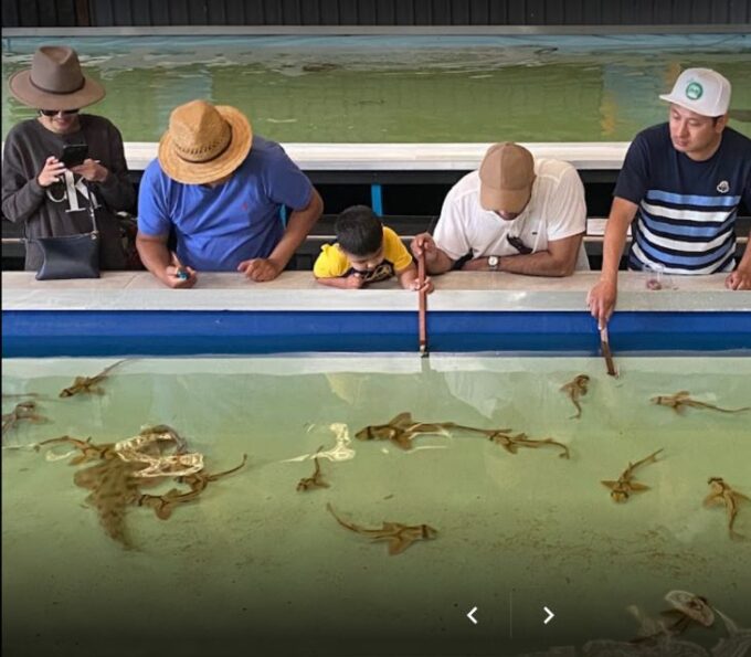 Port Stephens Animal Adventures: Mega Ticket - Validity and Availability