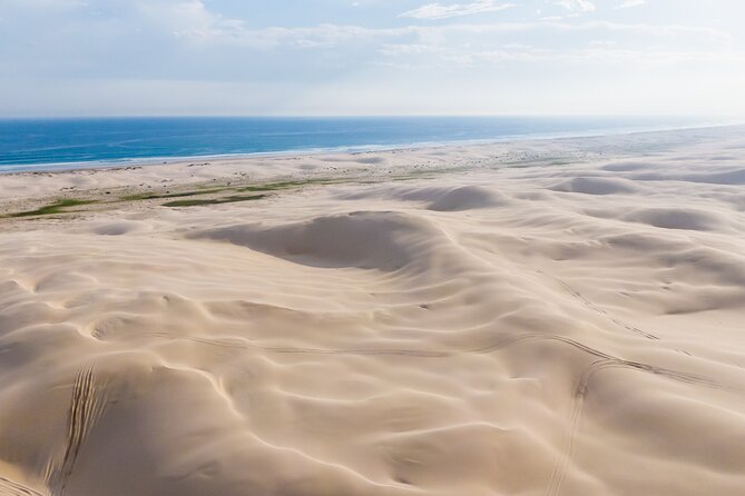 Port Stephens, Beach and Sand Dune 4WD Passenger Tour - Wildlife Sightings