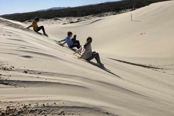 Port Stephens, Beach and Sand Dune 4WD Tag-Along Tour - Meeting and Duration