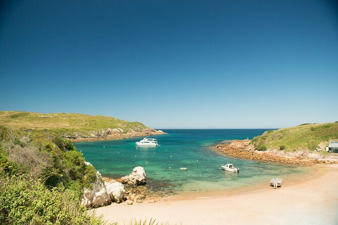 Port Stephens: Broughton Island Cruise - Key Points
