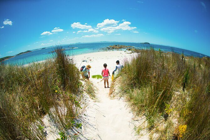 Port Stephens: Broughton Island Cruise - An Authentic Full-Day Adventure