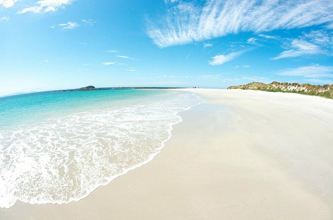 Port Stephens: Broughton Island Cruise - FAQ