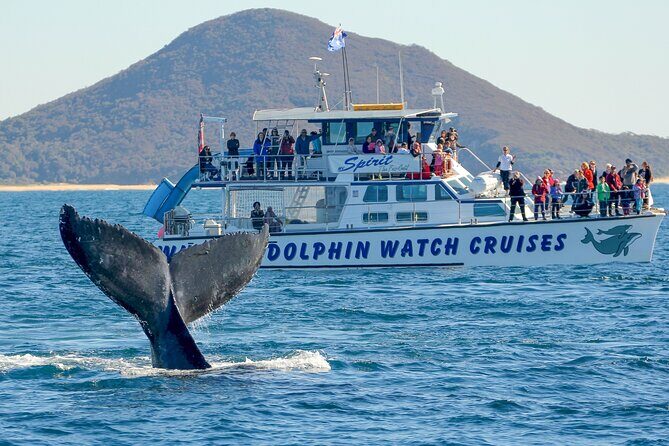 Port Stephens, departing Newcastle - Whales, hike & sand dunes! - Discovering the Best of Port Stephens: Whales, Hikes, and Sand Dunes