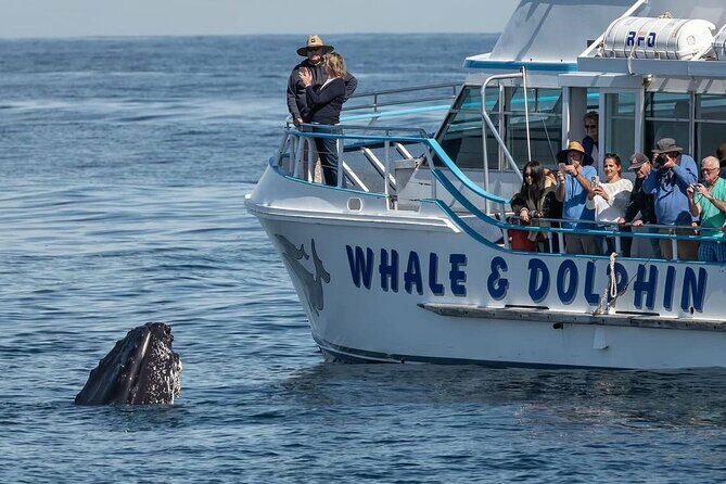 Port Stephens, departing Newcastle - Whales, hike & sand dunes! - The Sum Up: Who Will Love This Tour?
