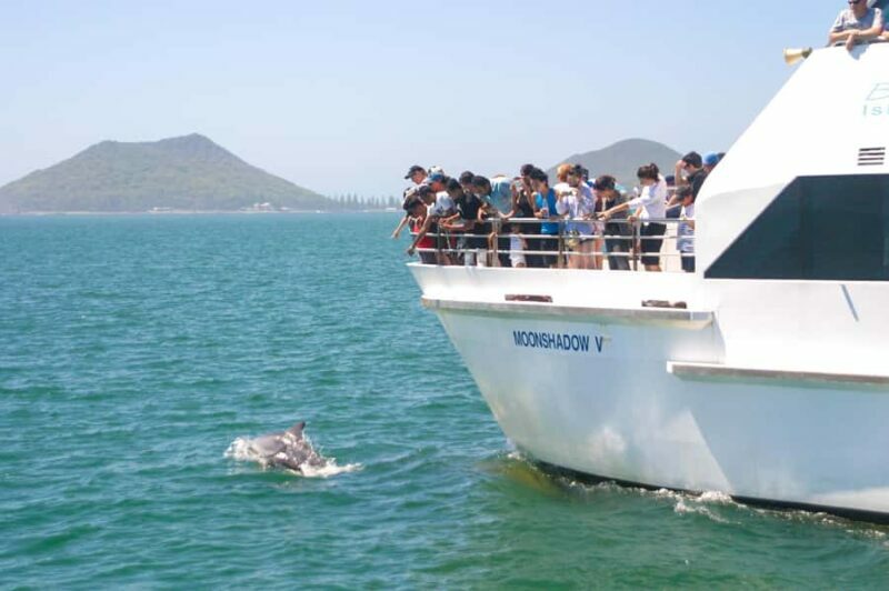 Port Stephens: Dolphin Cruise, Lunch, Koalas & Sandboarding - Why This Tour Is a Great Choice