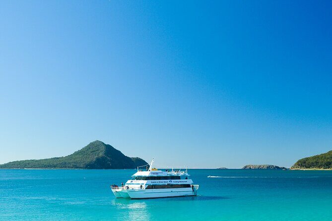 Port Stephens: Dolphin Discovery Cruise - The Itinerary: What You Can Expect