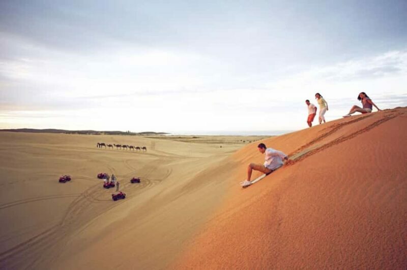 Port Stephens: Dolphin, Lunch, Koalas&Sandboarding -Mandarin - Practical Tips for Making the Most of This Tour